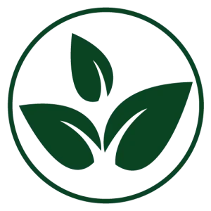 Eco-Friendly Elegance