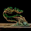 Unique Bonsai Driftwood Auqascape