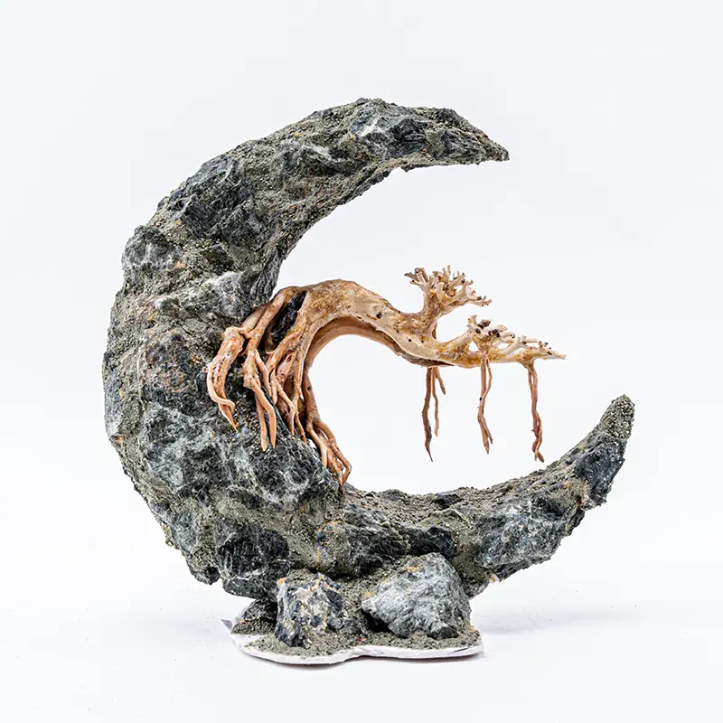 Crescent Moon Bonsai Aquascape