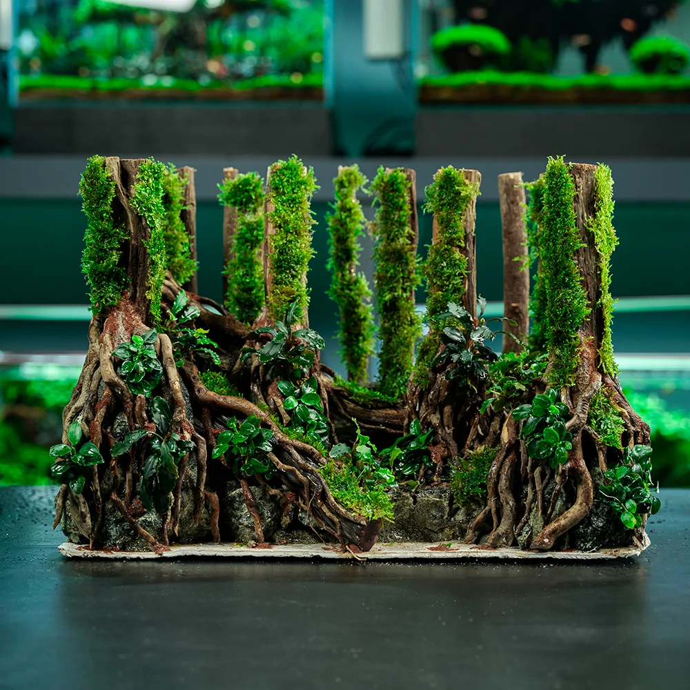 Driftwood Miniature Forest Aquascape